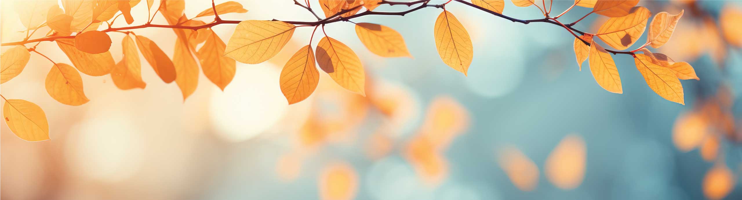 Autumn Leaves
